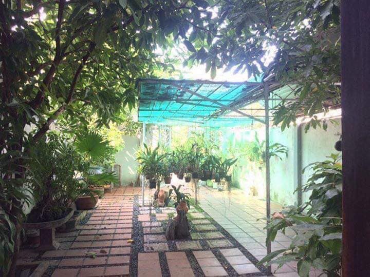 Nhà vườn trong phố đường Đặng Dung - Phước Long - Nha Trang