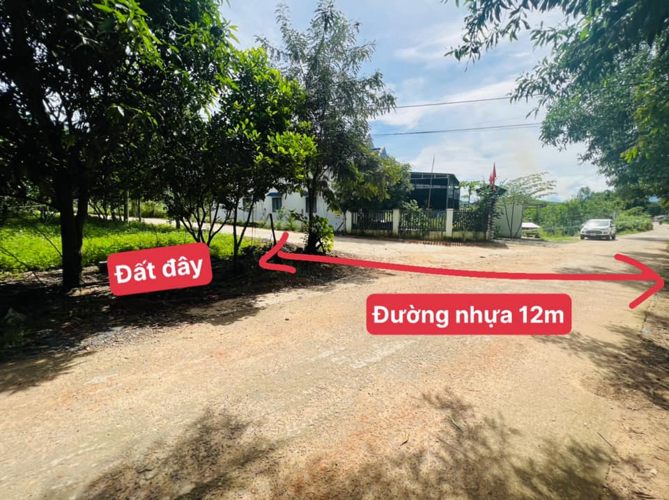 Đất thổ cư đường nhựa 12m Khánh Đông chỉ 199tr