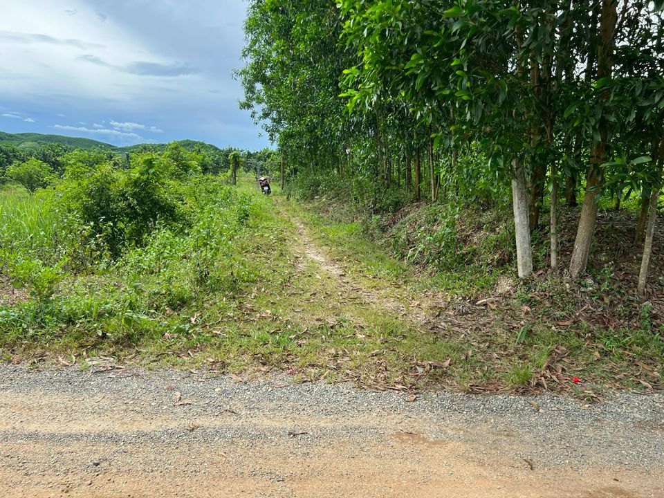 CHỦ NGỘP NGÂN HÀNG CẦN RA GẤP LÔ KHÁNH NAM, KHÁNH VĨNH