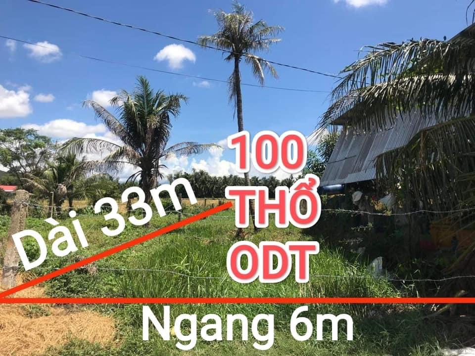 Chủ gồng hết nổi cắt lỗ hạ giá lô Ninh Đa Ninh Hòa còn 780tr